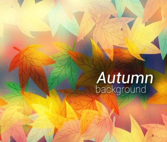 leaves colored blurred background autumn 