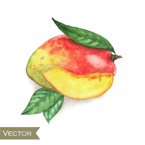 watercolor fruit 