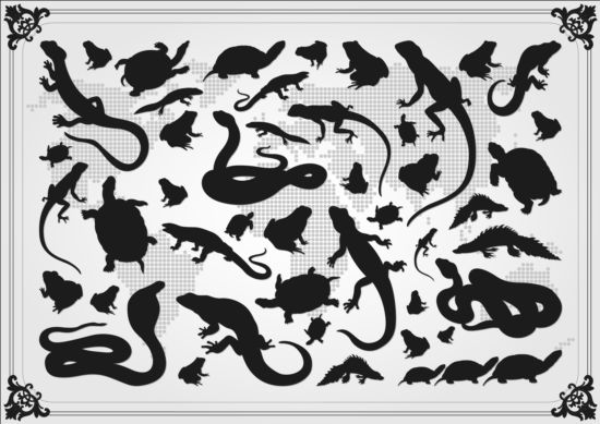 silhouetter Reptiles frame 