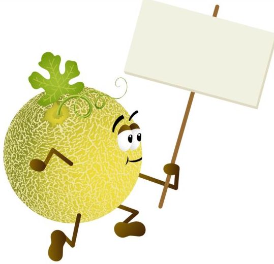 signboard melon holding cantaloupe blank 