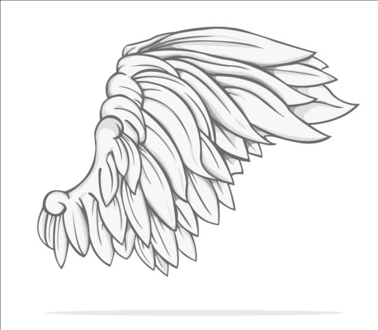 Hand drawn wing illustration vector 02 - WeLoveSoLo