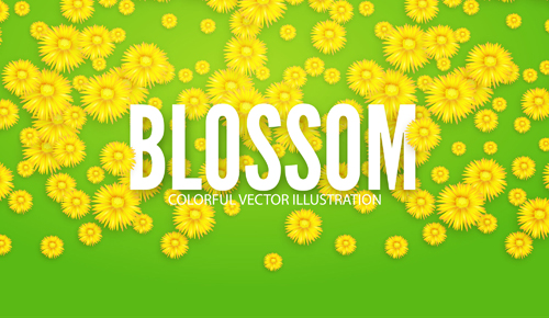 yellow flowers blosson background 