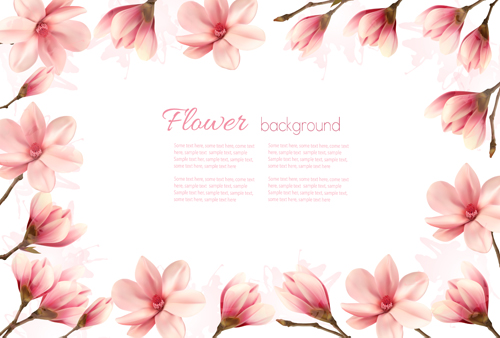 pink magnolia frame flowers 