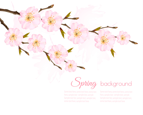 spring sakura pink background 