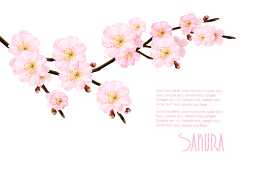 spring sakura branch background 