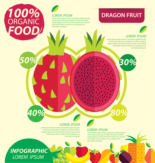 template infographic fruits flat 