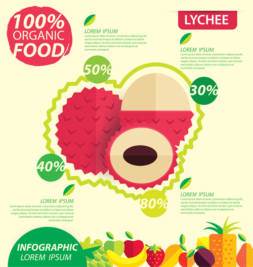 template infographic fruits flat 