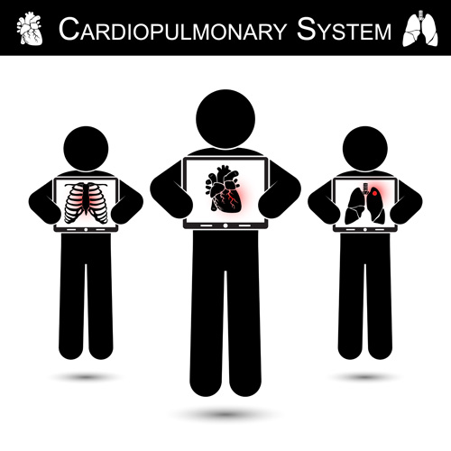 system Cardiopulmonary 