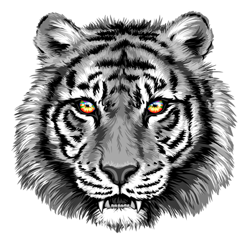 tiger head gray 