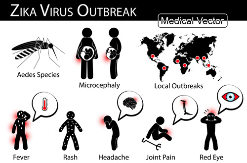 Zika virus symptom 