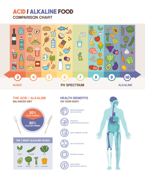 infographic Diet Alkaline acidic 