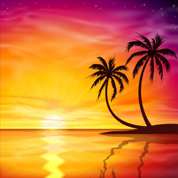 trees sunset palm beautiful background 