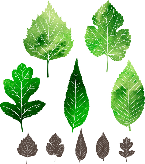 leaves green black 