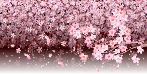 sakura beautiful 