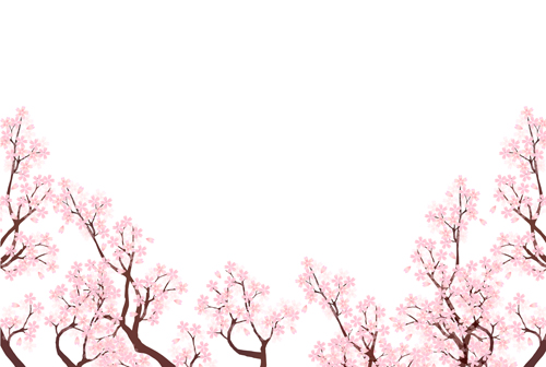 sakura beautiful 