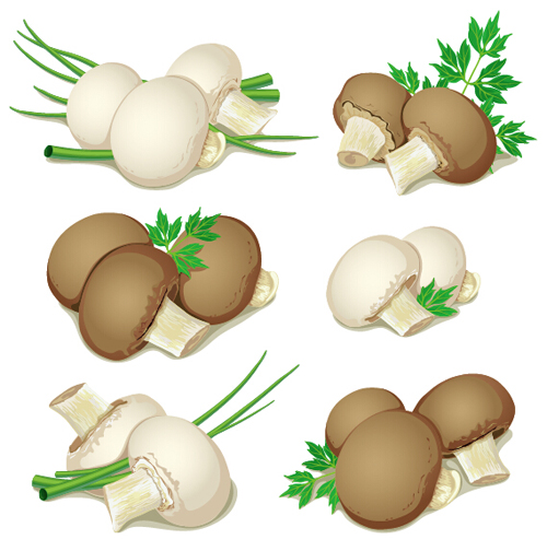 vegetables mushrooms leaves 