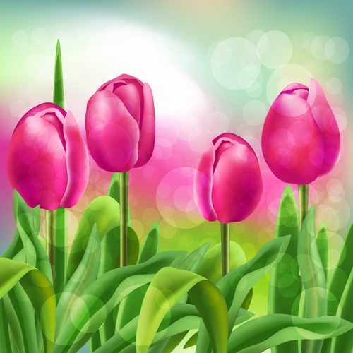 spring flower beautiful Backgrounds 