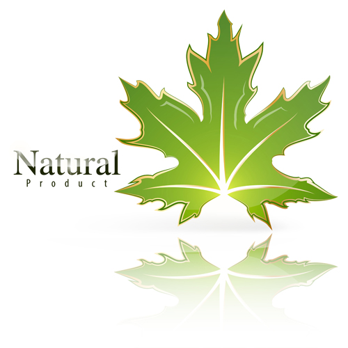 shiny nature logo leaf green 