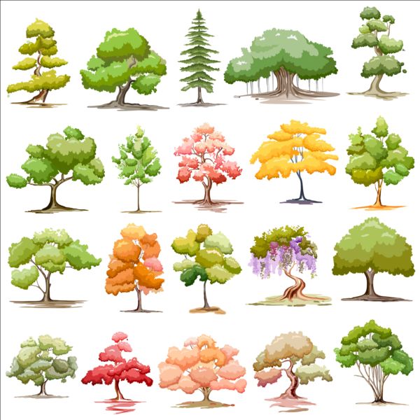 trees colored 