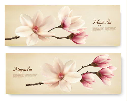 white spring magnolia banners 