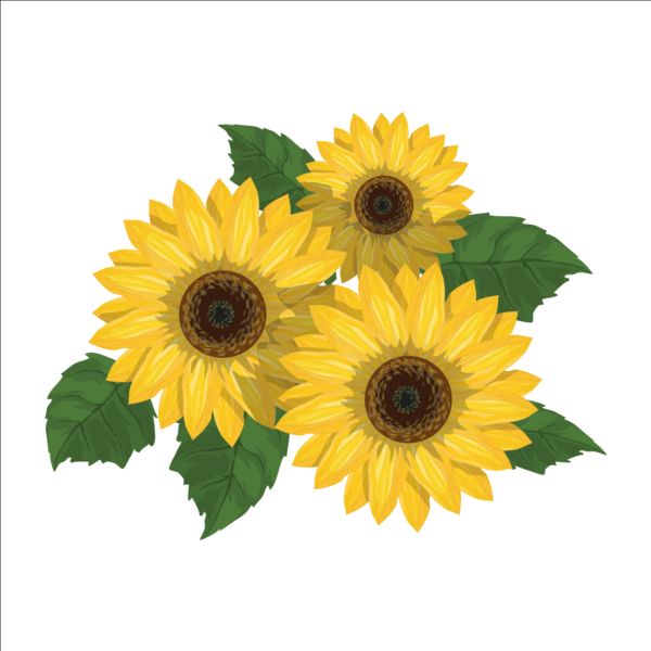 Sunflower With Leaves Svg