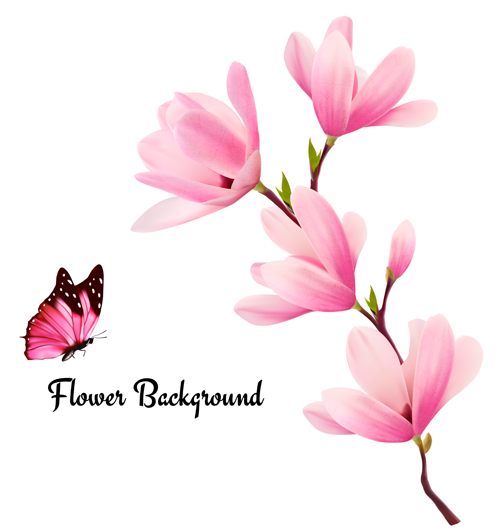 pink magnolia flower background 