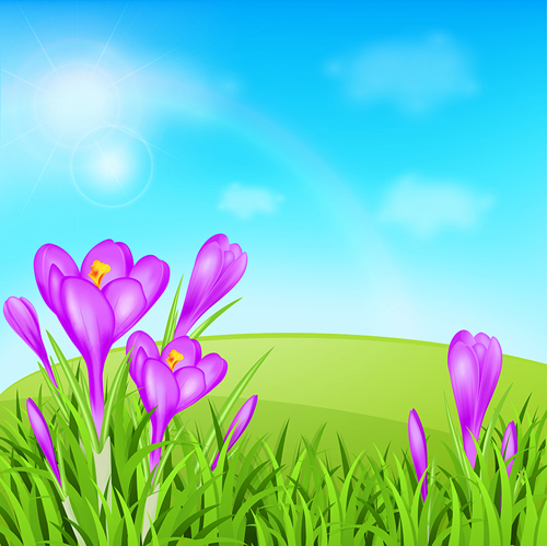 spring purple flower background 