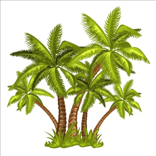 tree palm illustration 