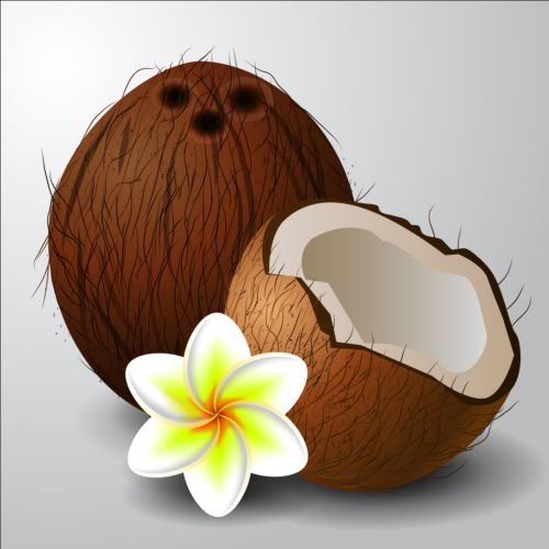 white flower coconut 