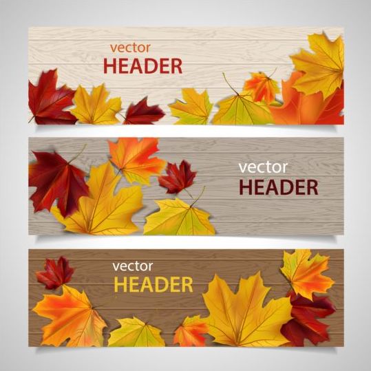 wooden leaves banner autumn 