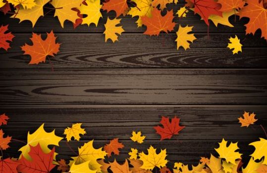 wooden leaves dark background autumn 