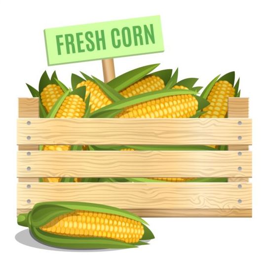 poster fresh corn 