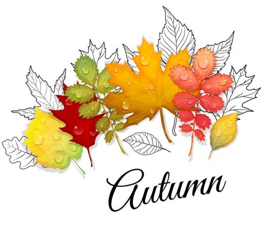 outline leaves background autumn 
