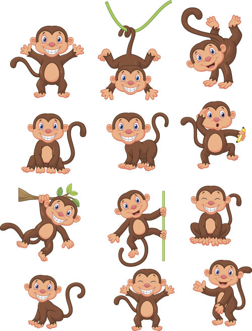 monkey material funny creative 