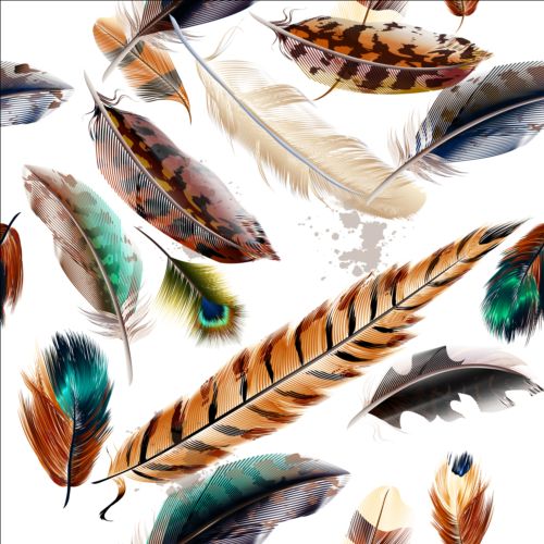 seamless pattern feathers fashion 