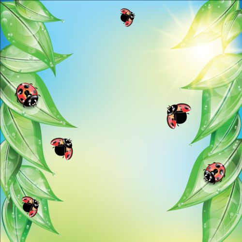 leaves ladybug background 
