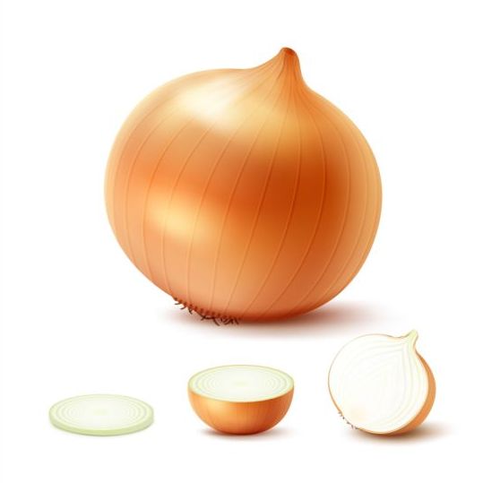 slice onion fresh 