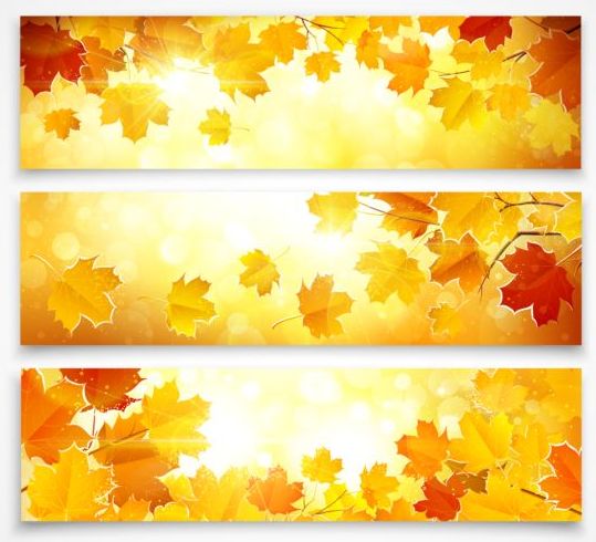 leaves banners autumn 