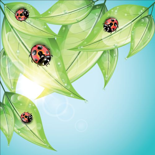 leaves ladybug background 