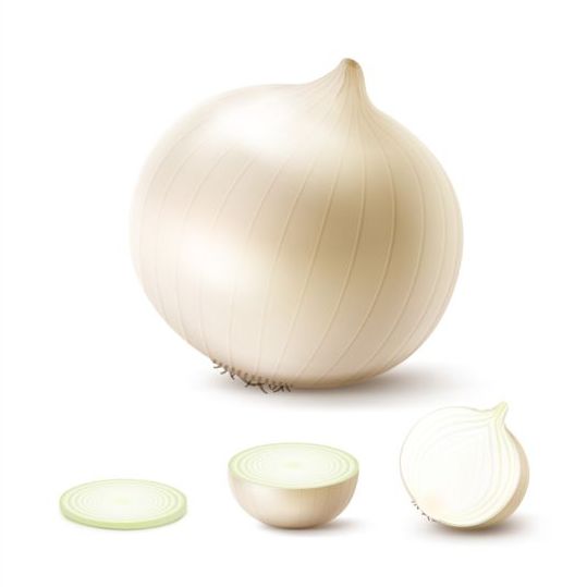 slice onion fresh 