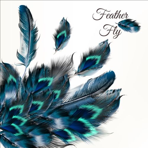 feathers beautiful background 