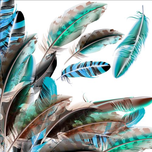 feathers beautiful background 