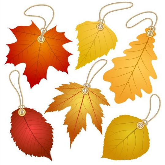 tags leaf autumn 