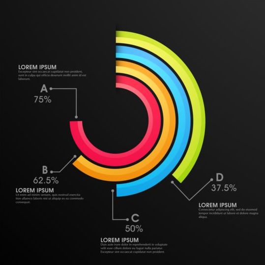 infographic Cricle colorful 