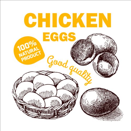 poster hand eggs drawn chicken 