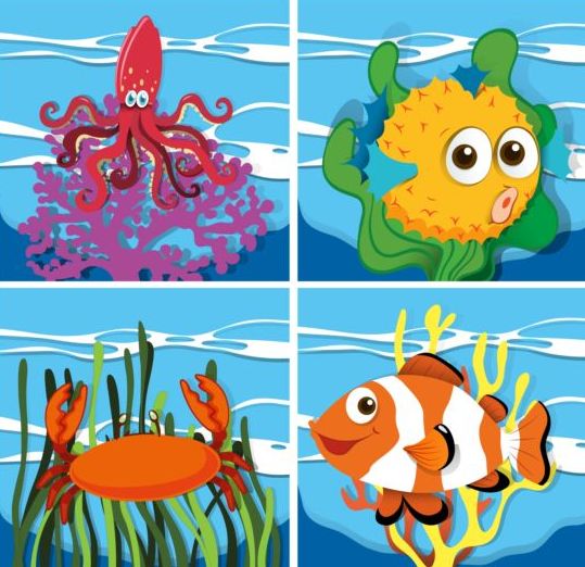 marine funny cartoon animals 