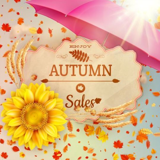 sunflower sale leaves labels background autumn 