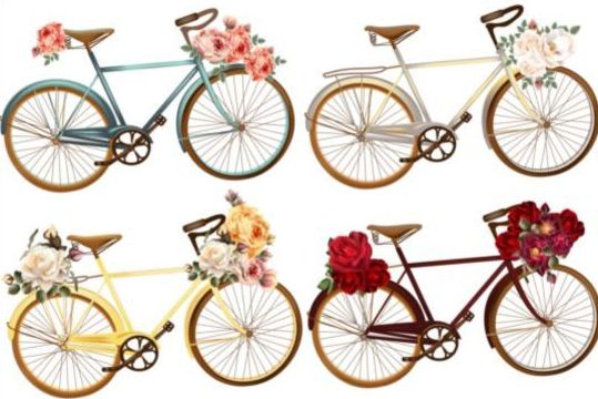 roses flower bicycles 