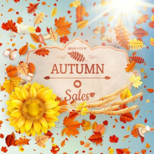 sunflower sale leaves labels background autumn 
