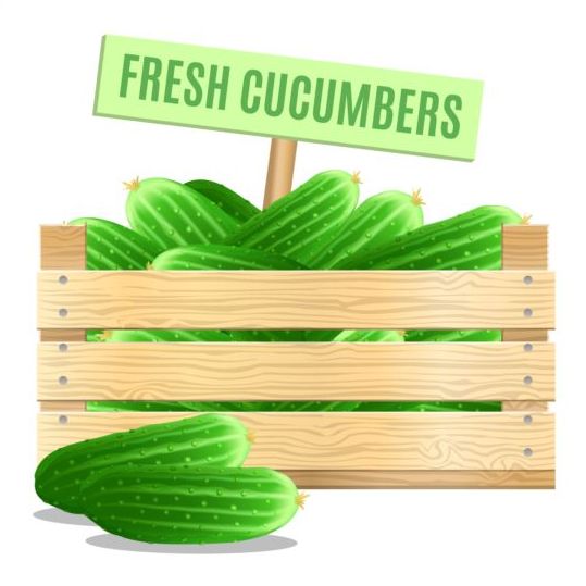 poster fresh Cucumber 
